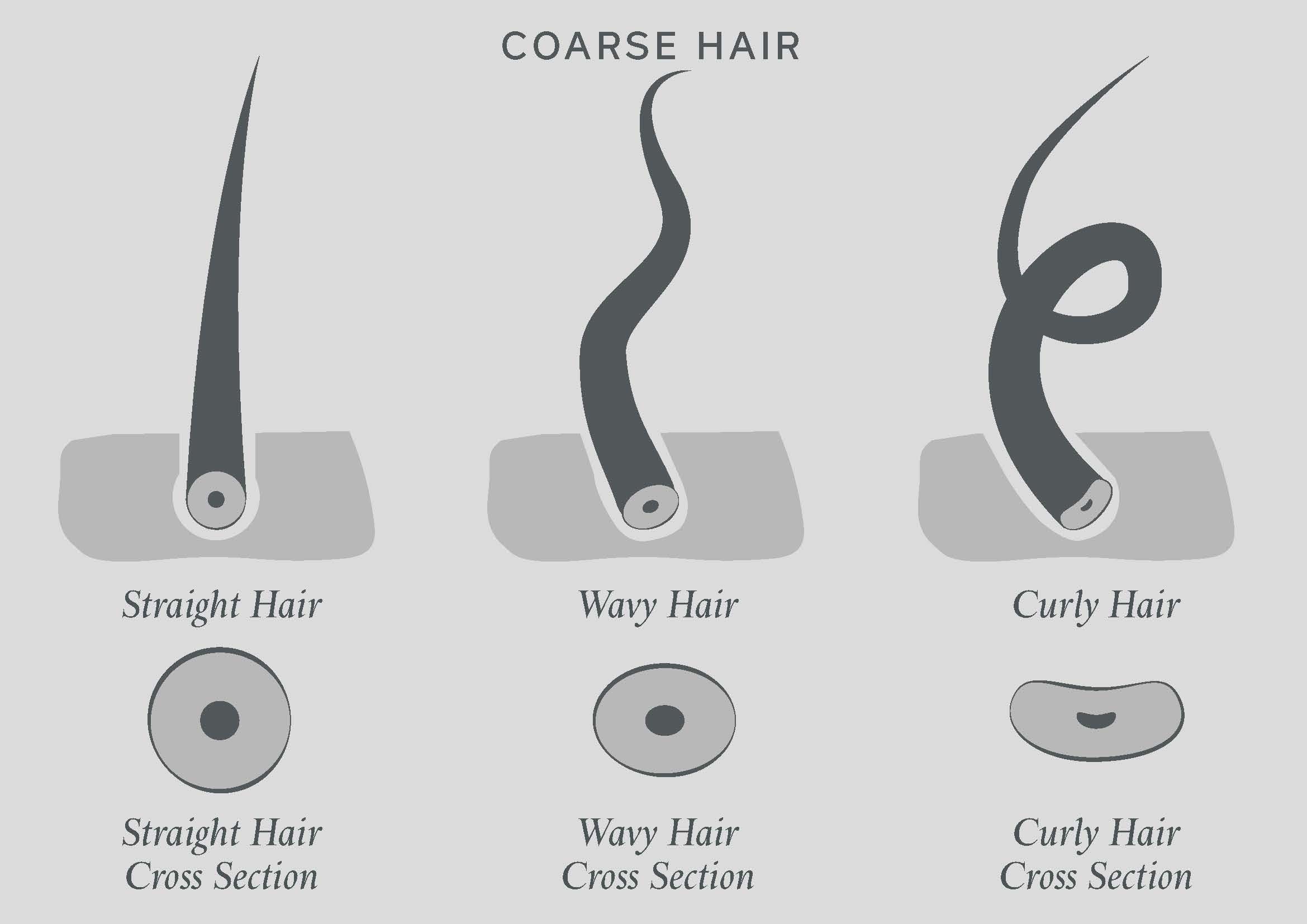 what is coarse hair