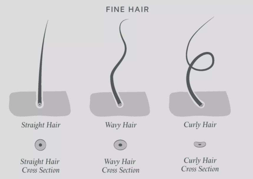 Fuzz перевод. Fine волосы. Straight Fine hair \. Hair mean. Hair is hairing значение.
